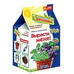 Набор для творчества "Вырасти меня. Базилик"