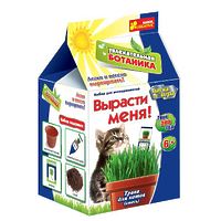 Набор для творчества "Вырасти меня. Трава для котов"