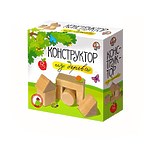 Конструктор неокрашенный, 12 элементов