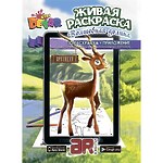 3D-раскраска "Волшебная долина"